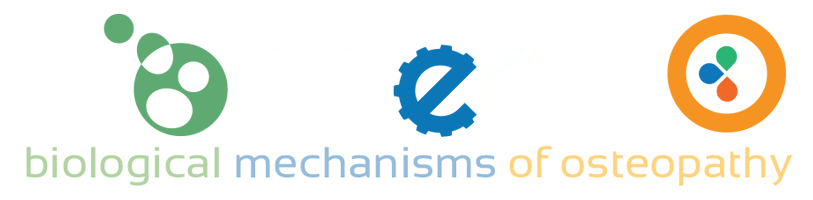 biomecho