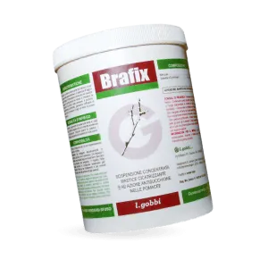 Brafix
